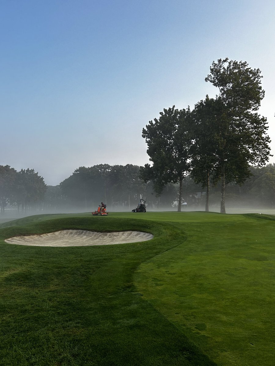 Mike Mosquera ⚡️ tweet media