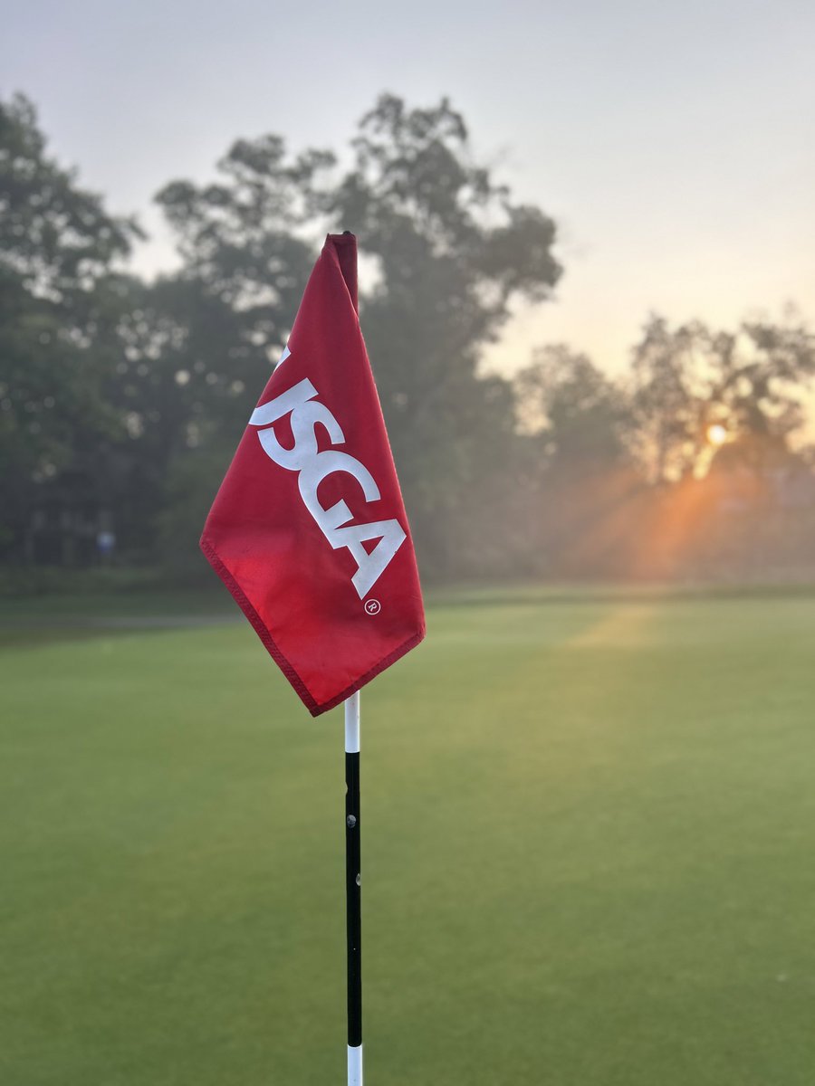 Mike Mosquera ⚡️ tweet media