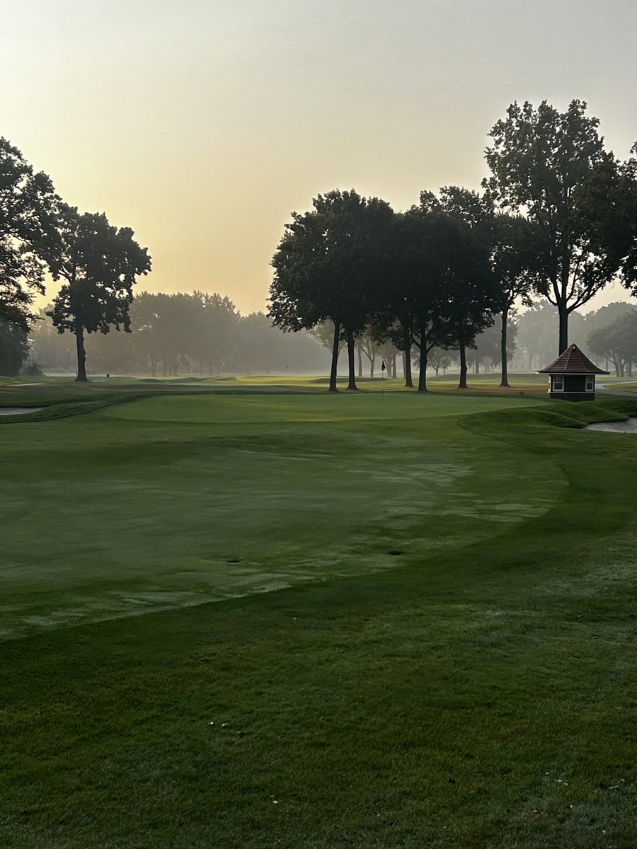 Mike Mosquera ⚡️ tweet media