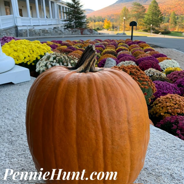 PennieHunt's tweet photo. “It’s Thankful Thursday!
Today I am thankful for the crisp feel of fall.
Fall is my favorite time of year with cool mornings, the freshness of what is to come, the harvesting of gardens, and the promise of everything pumpkin.
What do you love about fall? https://t.co/CSH7xqseYD