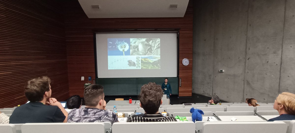 Alexandra Mir Davood Bernal tweet media