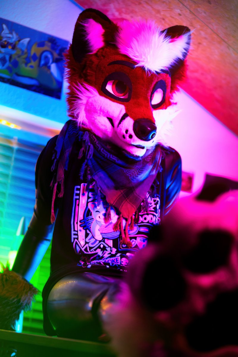 He's pretty cool, isn't he? =3
🦊 @QuimbyFox