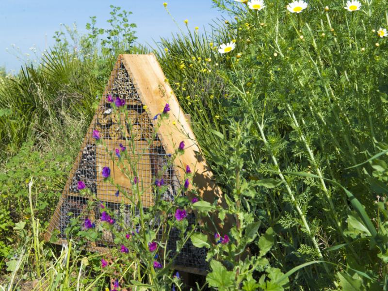 Our wonderful colleague Marta took part in a technical workshop on composting organic crop waste this morning.  As part of the event, she got to visit an olive residue composting plant at <a href="/CortijoelPuerto/">Cortijo el Puerto</a>.