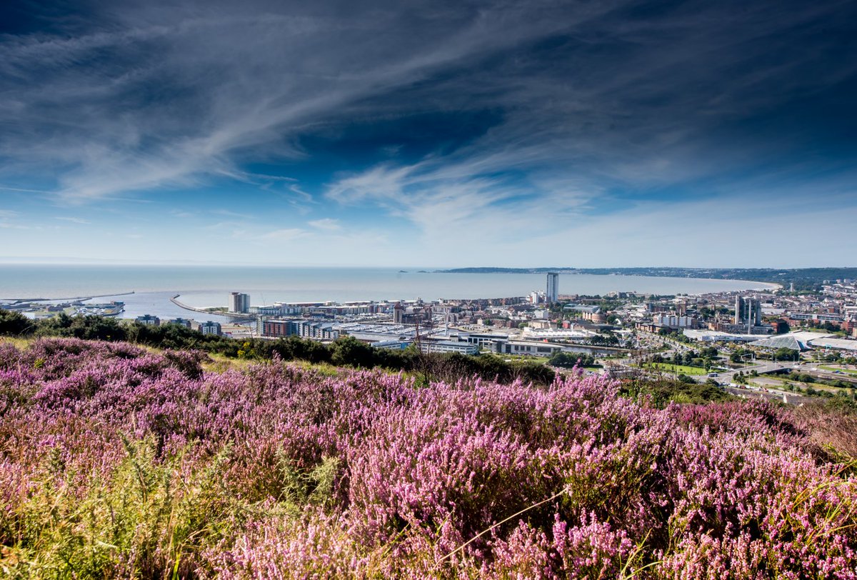 WSP in the UK & Ireland (@wsp_uki) on Twitter photo We’re excited to lead the Environment Work Package for the Severn Estuary Commission, alongside <a href="/APEM_Ltd/">APEM Limited</a> & Tresor Consulting. Our focus will be on environmental baselines, impact assessments, and ecological protection for tidal energy projects. Read more: bit.ly/4e1oJhb We’re excited to lead the Environment Work Package for the Severn Estuary Commission, alongside <a href="/APEM_Ltd/">APEM Limited</a> & Tresor Consulting. Our focus will be on environmental baselines, impact assessments, and ecological protection for tidal energy projects. Read more: bit.ly/4e1oJhb