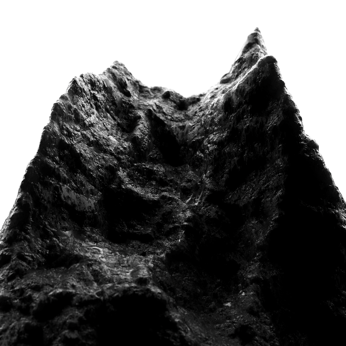 Christian Romero tweet media