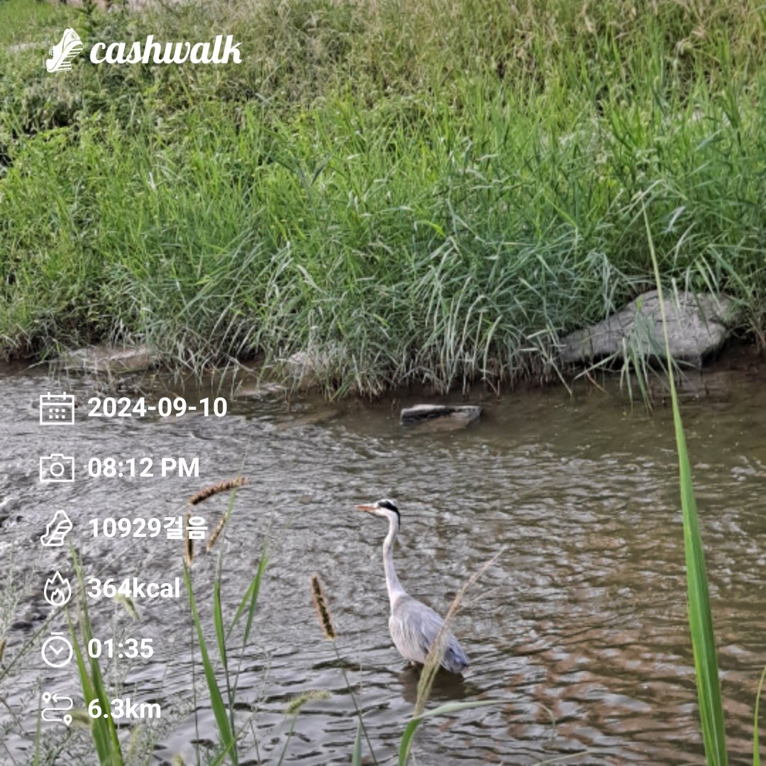 seethrough1b's tweet image. #bugcity
#bugpoly
#gm
@Bug4city
2024년  10,000보