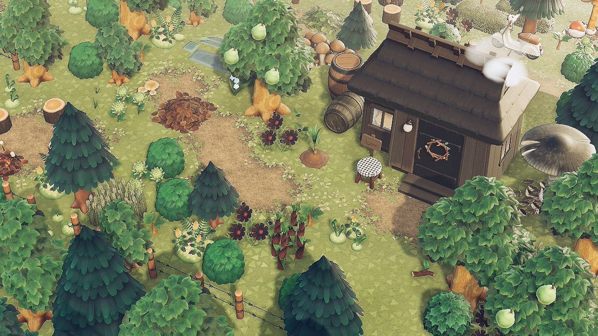 癒されるなぁこのゲーム‥_(:3」∠)_

#あつ森写真部 #あつ森 #AnimalCrossing #ACNH