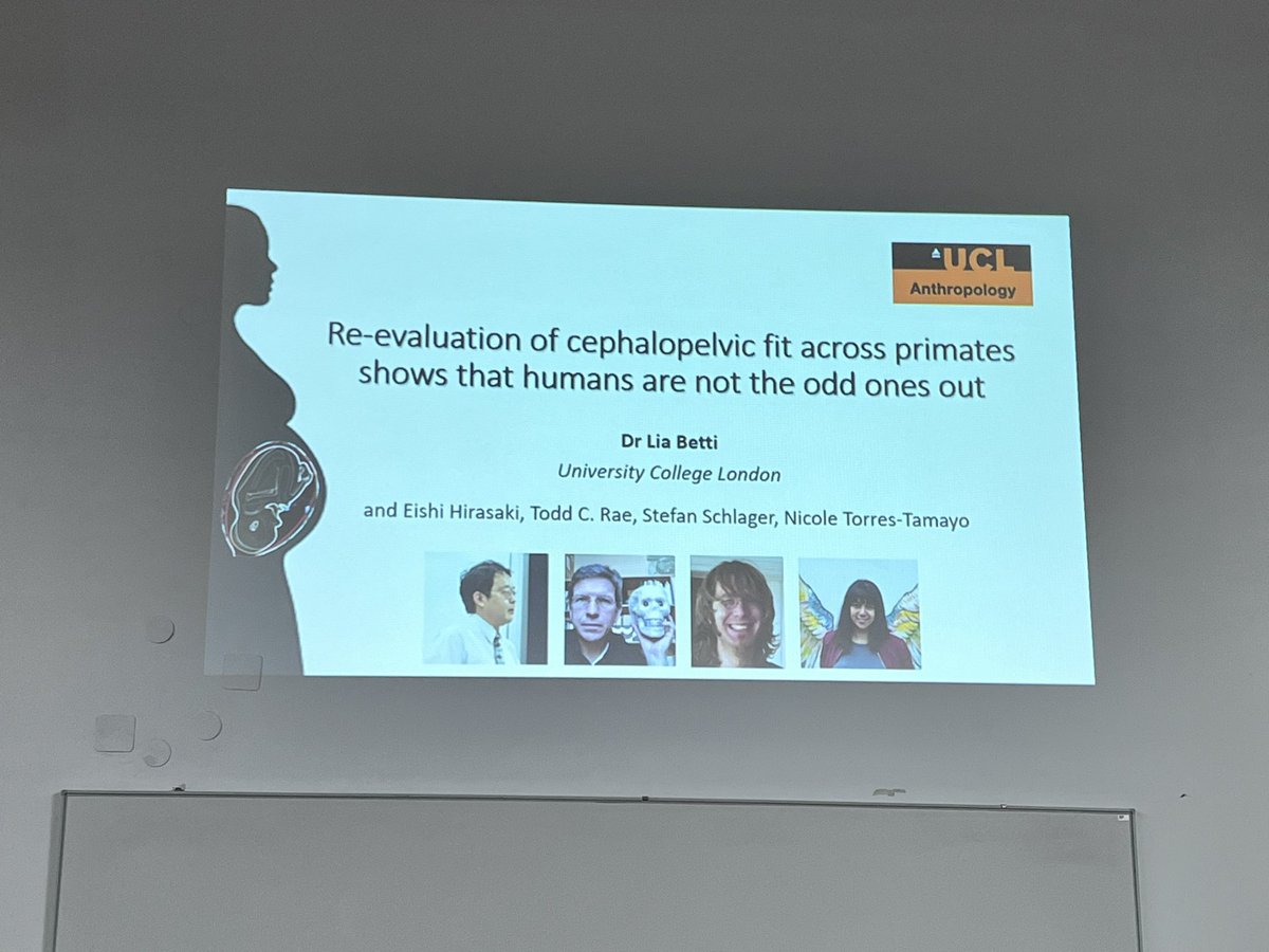 Revising the cephalopelvic fit in primates by @LiaBetti - new data, new models (emphasis on “face first” birth in non-human primates) humans NOT unique at having a tight fit!! Apes off ones out at loose fit 😁
#ESHE2024
