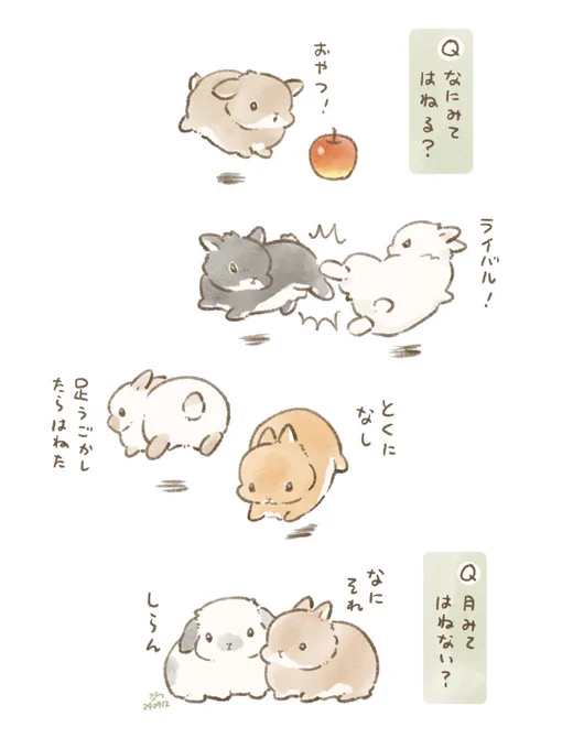 🌕うーさぎうさぎ 
