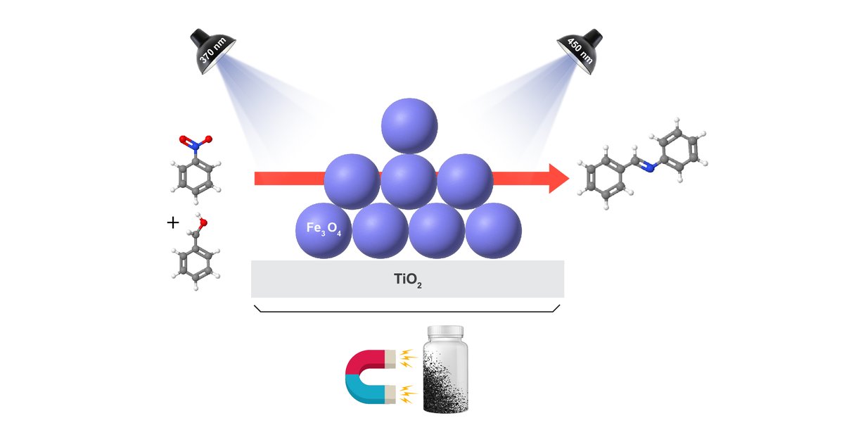 Just published. Congrats Melissa and Daliane on your paper on the two colour photochemical synthesis of Schiff bases using a magnetic catalyst. Well done!
mdpi.com/2073-4344/14/9…