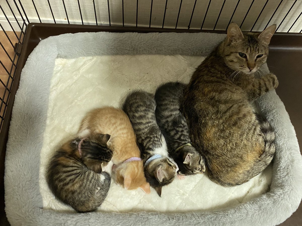 #二度と撮れない画像を貼れ