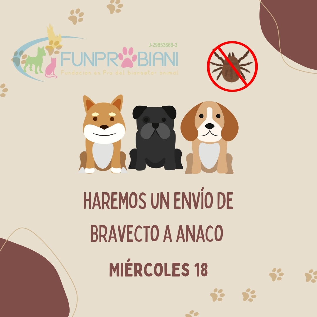 #Anaco #Bravecto #Venezuela 0416-2999350