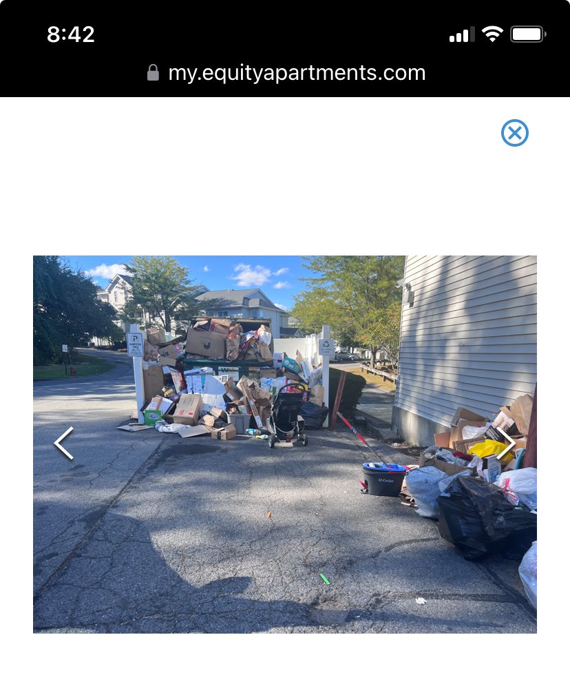 Florrie Mccarthy tweet media