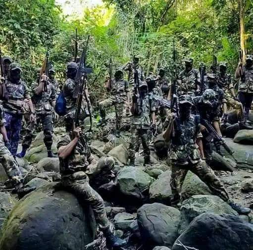KMojibur74818's tweet photo. Fighter can understand what is freedom, is it easy or hard. During your fight there will be hypocrites, spies, agents and even enemies against you but don't give up or never fear to them.
#ARSA #JoinARSA #SupportARSA
#Arakan #Burma #Myanmar #Rohingya #War #Fight https://t.co/CNgLeE83Kz