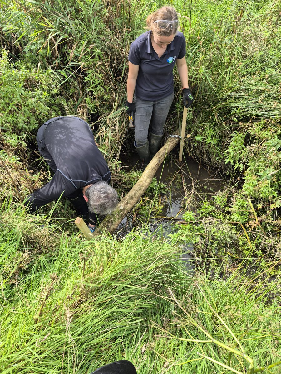 South Cumbria Rivers Trust tweet media