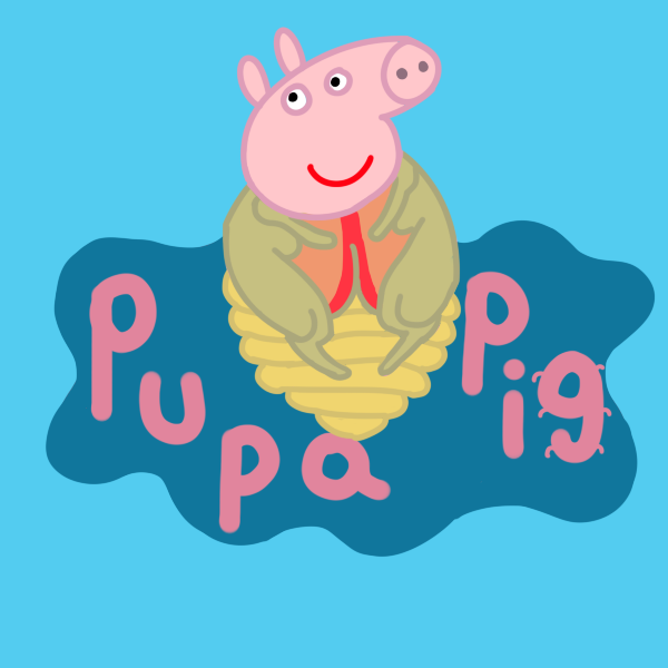 Look on my work, ye mighty, and despair!