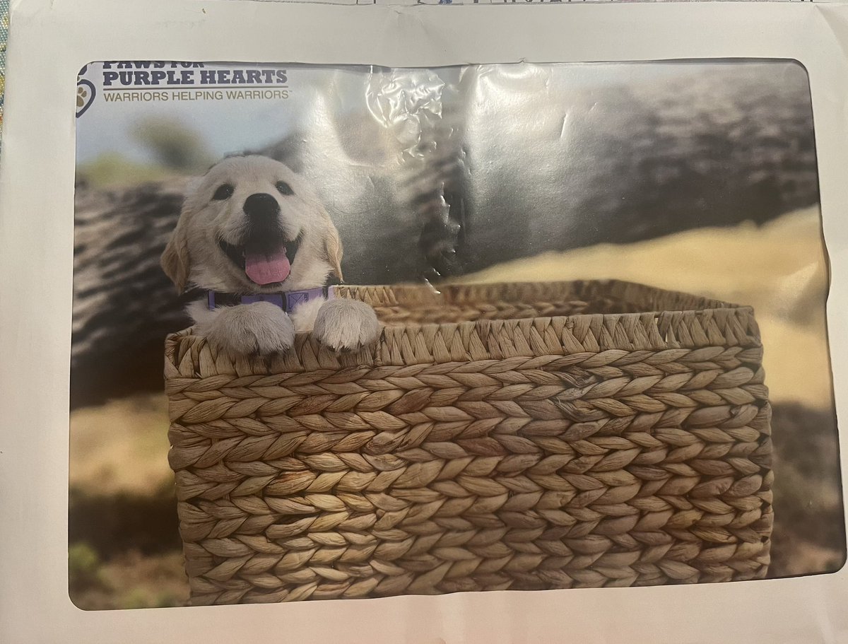 Nicole Oates tweet media