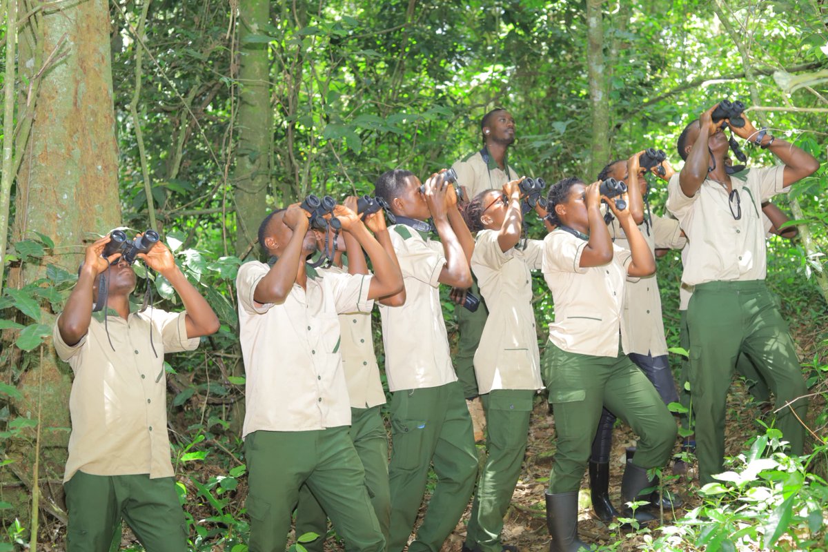UhttiC41123's tweet photo. Tourism students of NDTM 23 and NCTG 9/2023 have today, September 12th, concluded a camping and camp management training in Mabira Forest. The four-days training that ended with a nature walk is part of the practical training tourism students undertake. https://t.co/Le8DKqhEyI