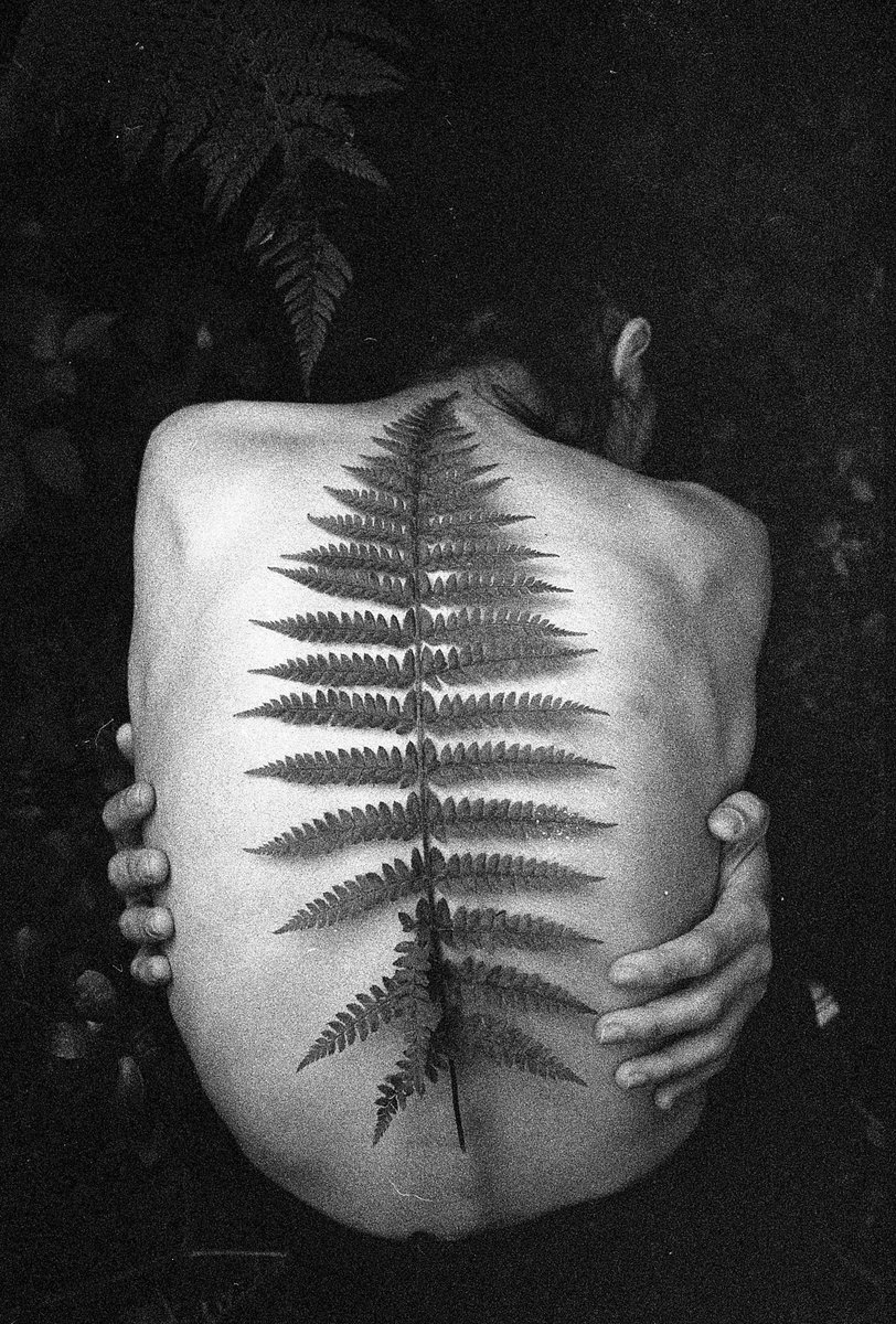 objktcom's tweet image. ‘Eğrelti’ 
@dynobl

Film Photography, Ilford Delta 3200

1/1

150 XTZ

objkt.com/tokens/KT1XSCh…