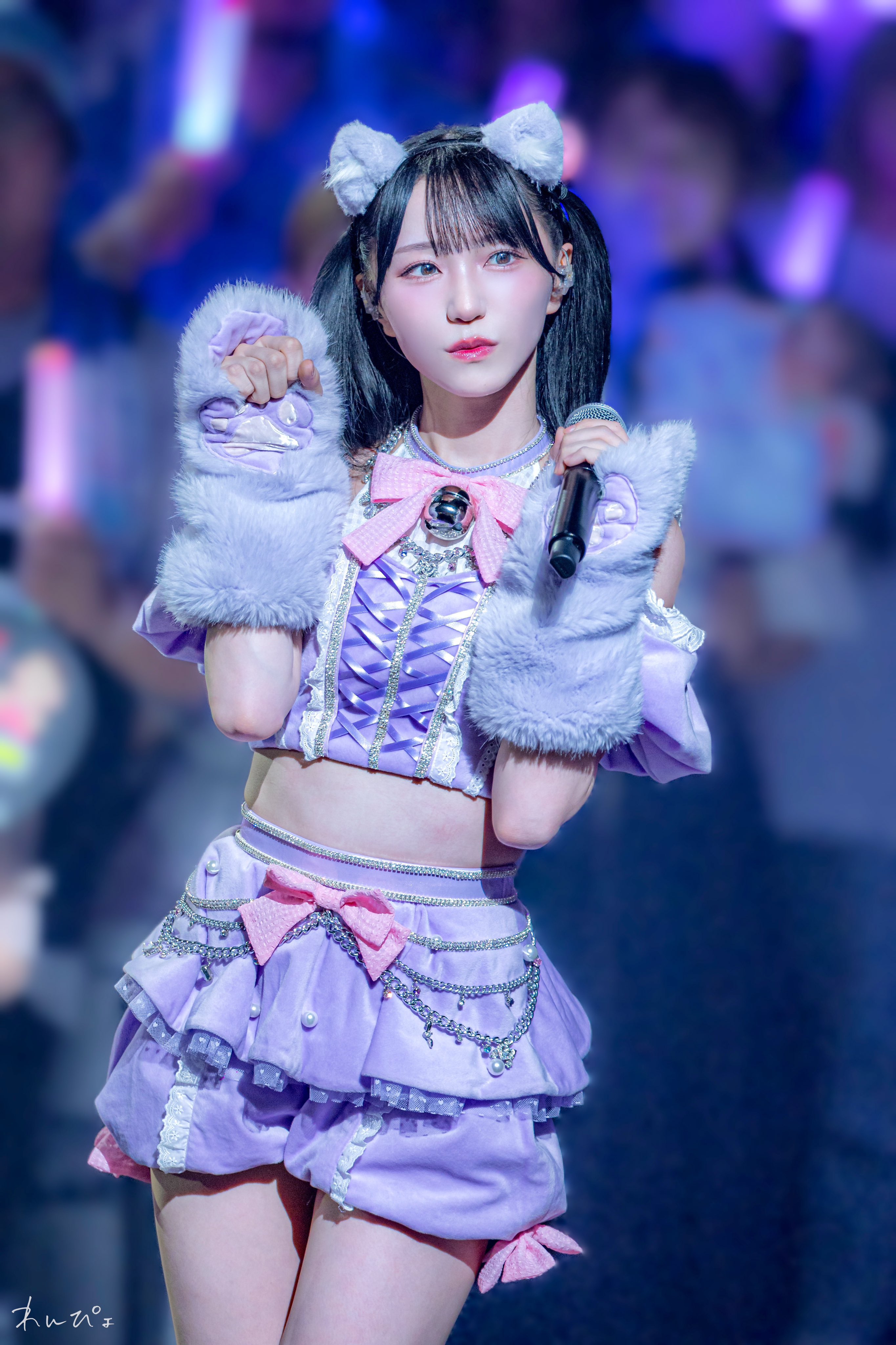 ナ*ユ様 野口衣織 フォトカード レア 猫衣装 イコラブ7周年 封入 円盤 生写真 野口衣織 猫衣装 - メルカリ