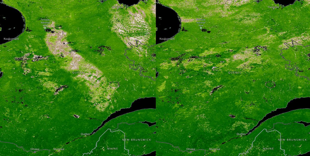 Scott V. Nguyen, PhD tweet media