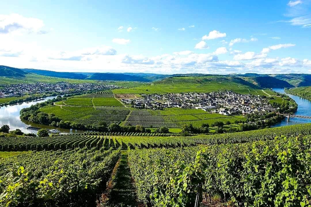 Um sich schöne Landschaften anzuschauen, #reisen Gruber u. Finn in meinem #Roman "Die #Pandajäger" nicht nach #China. Links zum #Buch u. #eBook 👉 hmm-info.de/e-books/die-pa…

#Lesetipp #Abenteuer #Action #Thriller #Buchtipp #Spannung #Autor #author #lesenswert #Lesen #Panda #Pandas