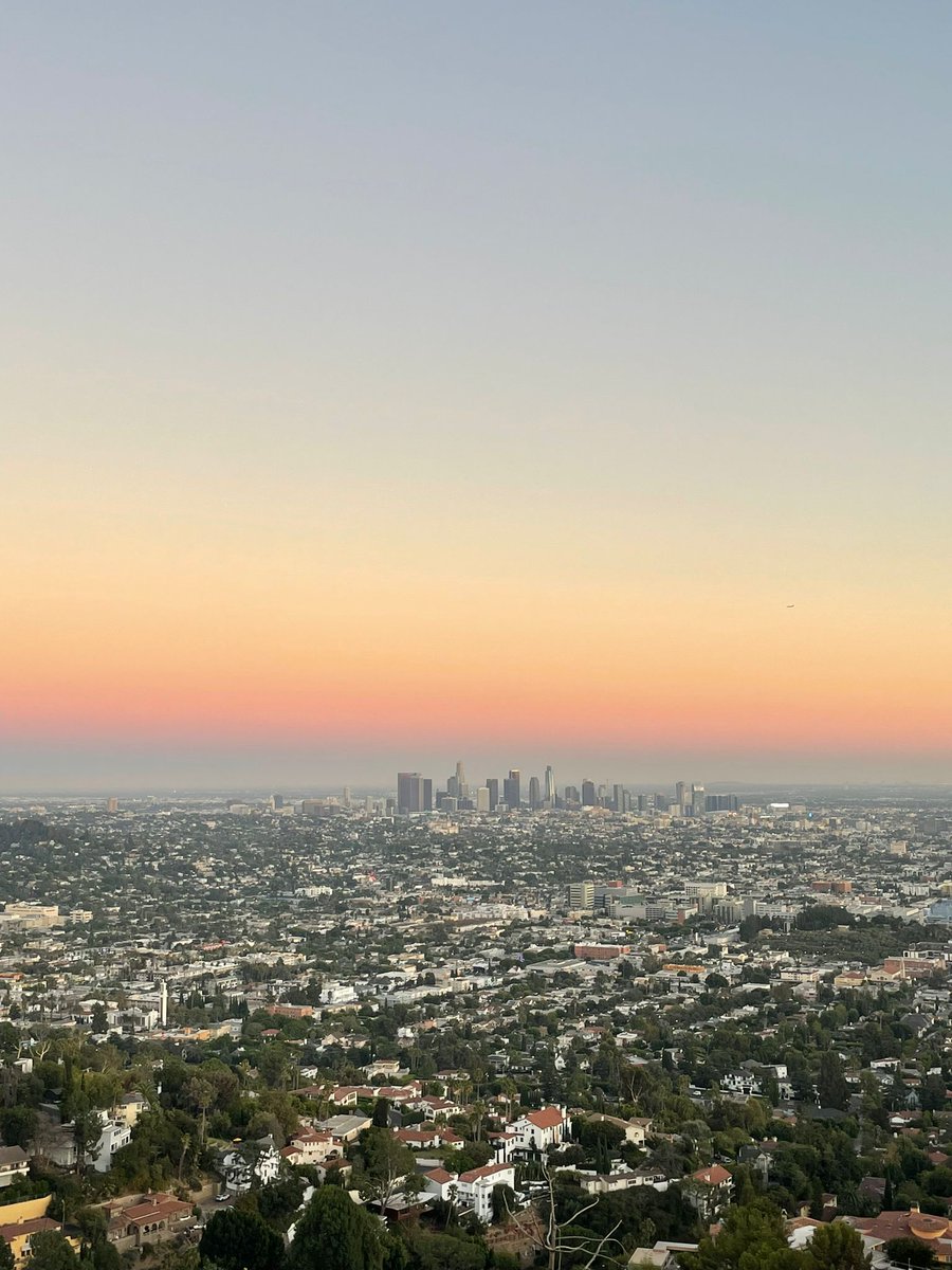 bilchenss's tweet image. I am literally here 🌴 LA 💚