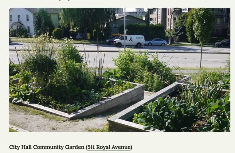DansLegacyBC's tweet image. A huge thanks to Gardens4Kids for dropping off fresh kale from their community garden plot!

We’re so grateful for the support, and can’t wait to incorporate them into our meals.

Gardens4Kids strives to get children interested in gardening. Learn more at gardens4kids.ca