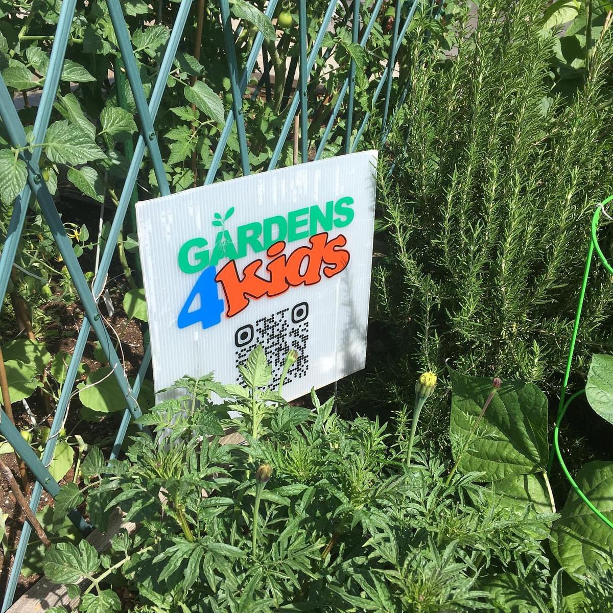 DansLegacyBC's tweet image. A huge thanks to Gardens4Kids for dropping off fresh kale from their community garden plot!

We’re so grateful for the support, and can’t wait to incorporate them into our meals.

Gardens4Kids strives to get children interested in gardening. Learn more at gardens4kids.ca
