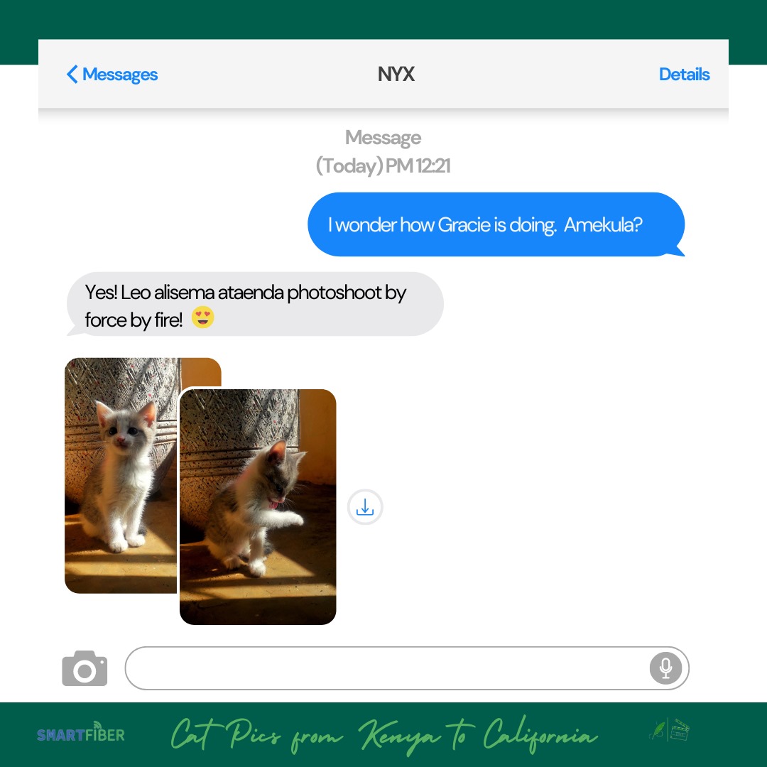 Takevingtdeux's tweet photo. No, she isn't.
But I made a poster for the one second Gracie steadily posed😂😅
#GraphicDesign #smartcloudinternet #notpaidpromotion #NotPaidAdvertisement https://t.co/dcY0kv65s1