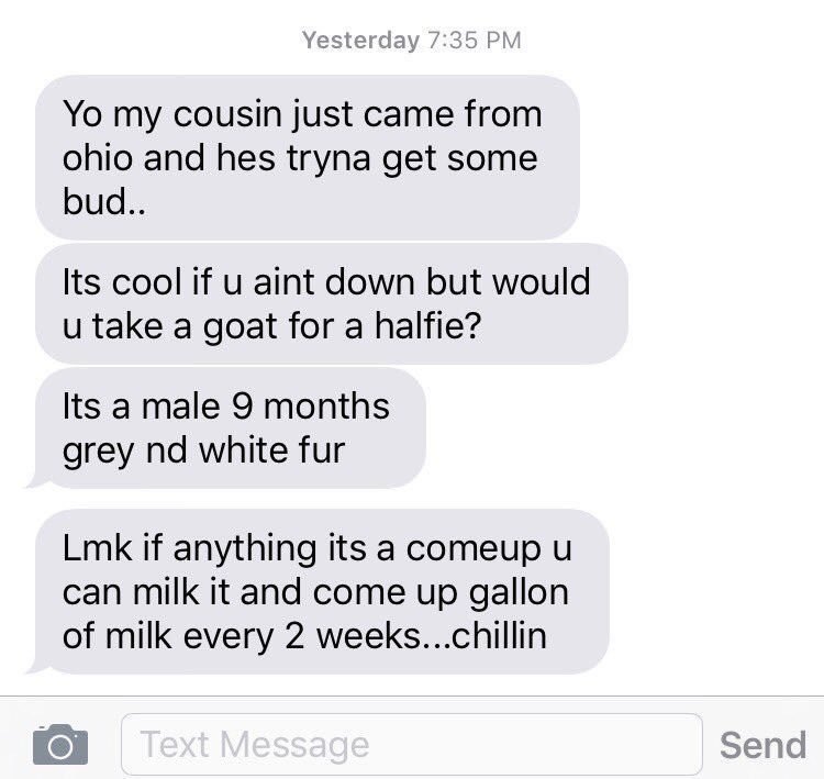 john austin tweet media