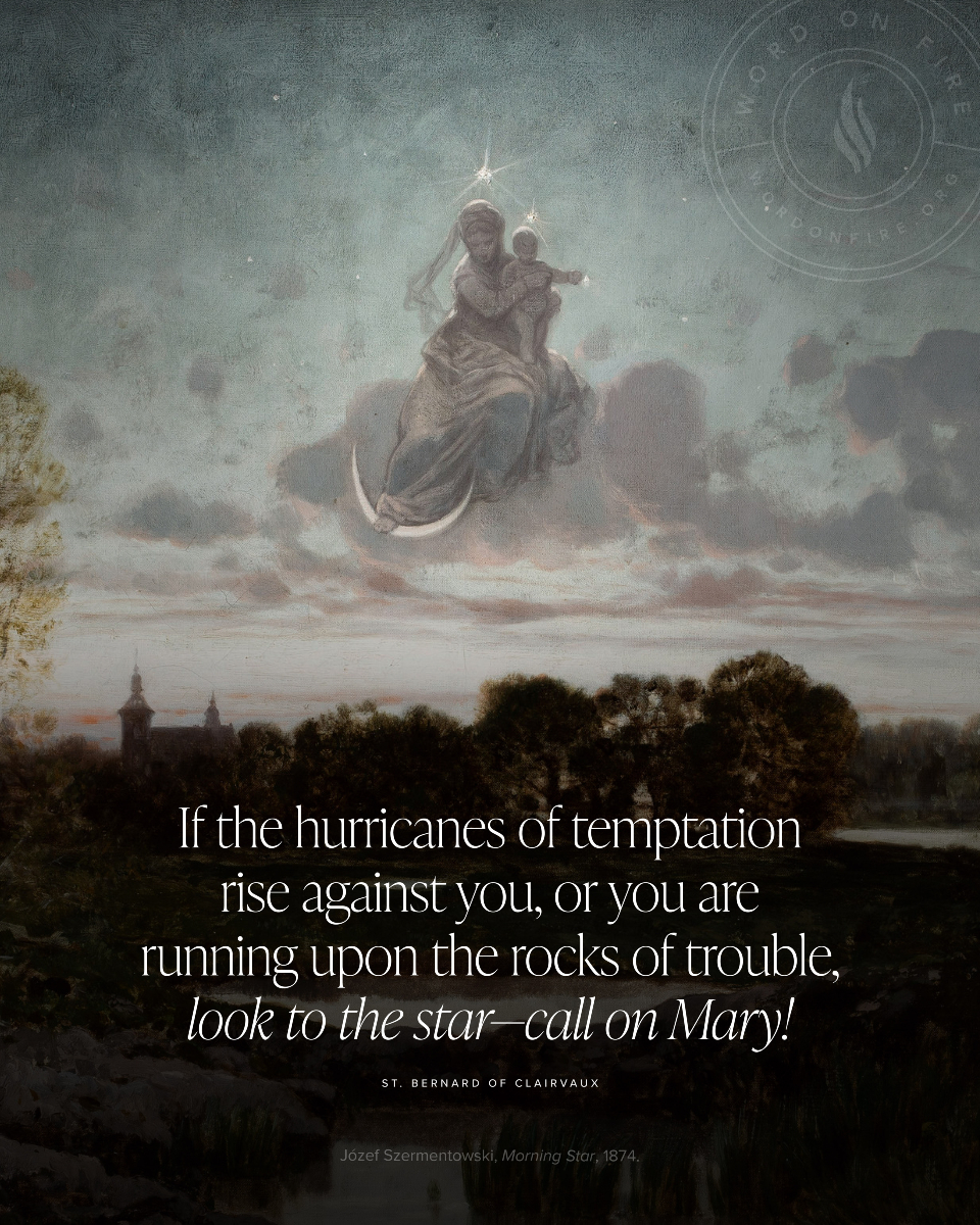 BishopBarron's tweet image. "If the hurricanes of temptation rise against you, or you are running upon the rocks of trouble, look to the star—call on Mary!" 

—St. Bernard of Clairvaux