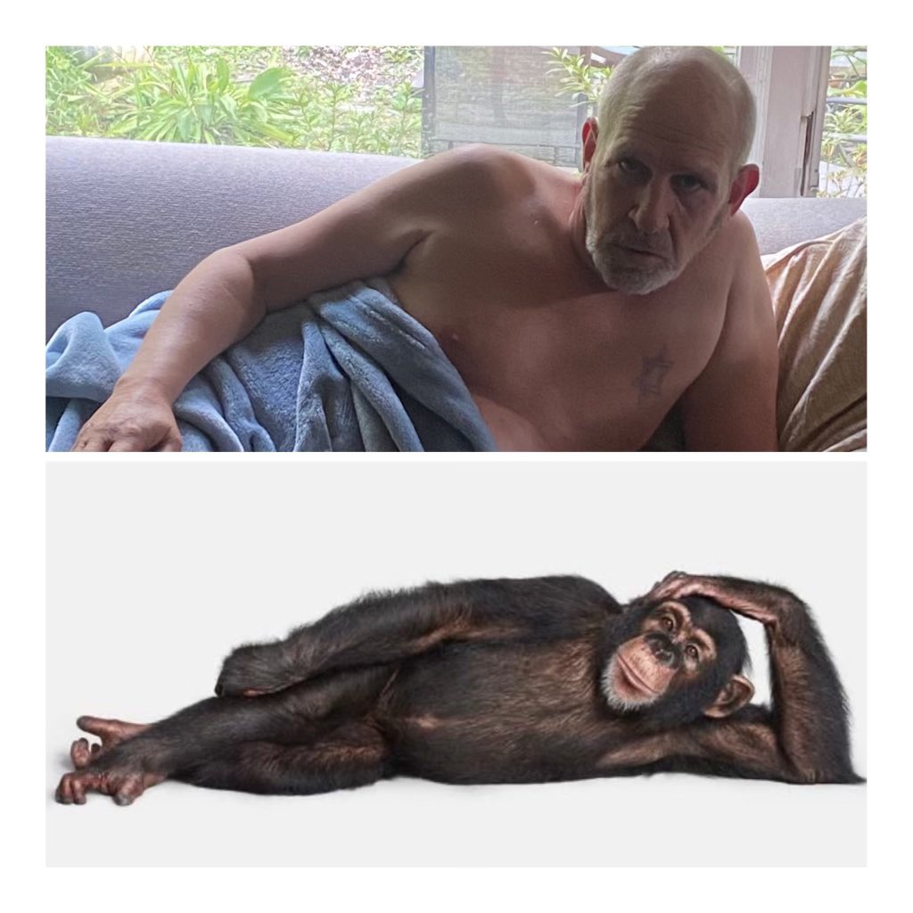 Evolving backwards announced