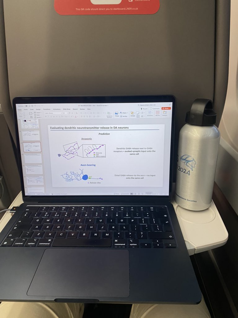 Аnа Dorrego Rivas tweet media