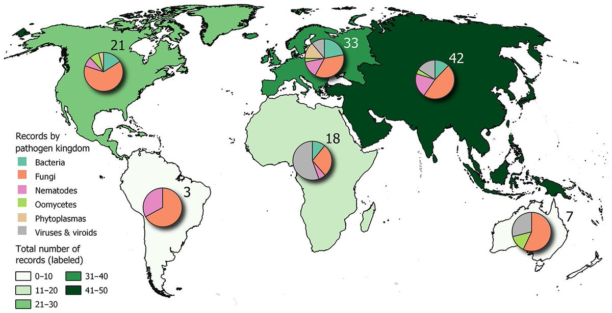Phytopathology® (@phytopathologyj) on Twitter photo Hannah Fielder et al. present a synoptic review of scientific literature and CABI records published in 2022 to find evidence of major disease outbreaks and first reports of pathogens in new locations or hosts. <a href="/CABI_News/">CABI</a> <a href="/ImperialLifeSci/">Imperial Life Sciences</a> <a href="/nikcunniffe/">Nik Cunniffe</a> doi.org/10.1094/PHYTO-… Hannah Fielder et al. present a synoptic review of scientific literature and CABI records published in 2022 to find evidence of major disease outbreaks and first reports of pathogens in new locations or hosts. <a href="/CABI_News/">CABI</a> <a href="/ImperialLifeSci/">Imperial Life Sciences</a> <a href="/nikcunniffe/">Nik Cunniffe</a> doi.org/10.1094/PHYTO-…