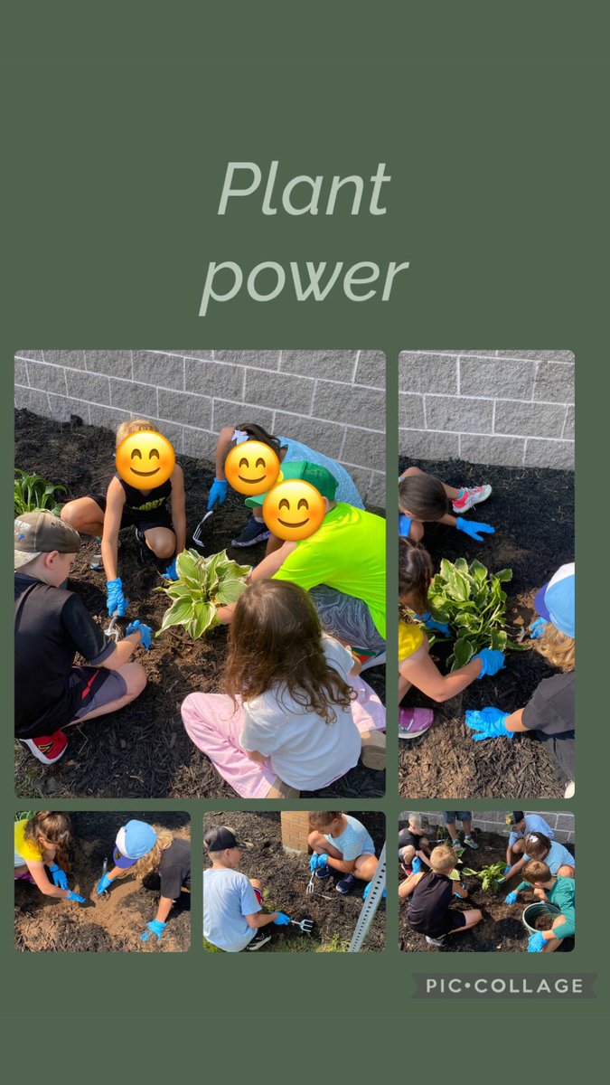 Day 1 of planting our garden was a success! #grizzlyproud <a href="/grandave_dsbn/">Grand Ave Public School</a> <a href="/GraGrizzlies14/">Grand Ave School</a>