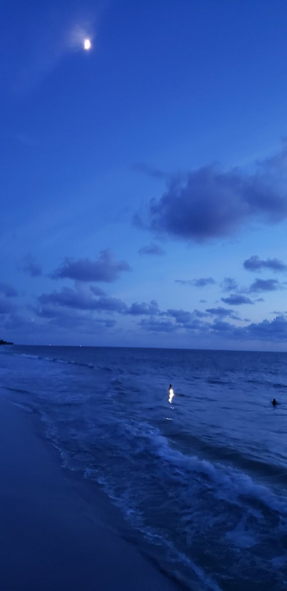 Mark_D_Zinu's tweet image. I like Naples, mapping went well and the day flew by. Back home I'm used to seeing Chevy, Dodge and Ford dealers grouped together. Here its Bentley, Maserati and Rolls Royce. Not Mad! Can't wait to come back for another round of mapping! 
#ZombieMob #MainnetZ 
 #OverTheReality