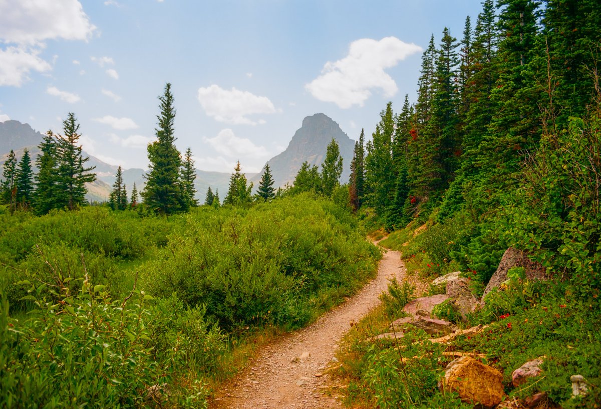 ryanadrift's tweet photo. film photos of the trail🎞️🥾 https://t.co/e6XHnUipEO