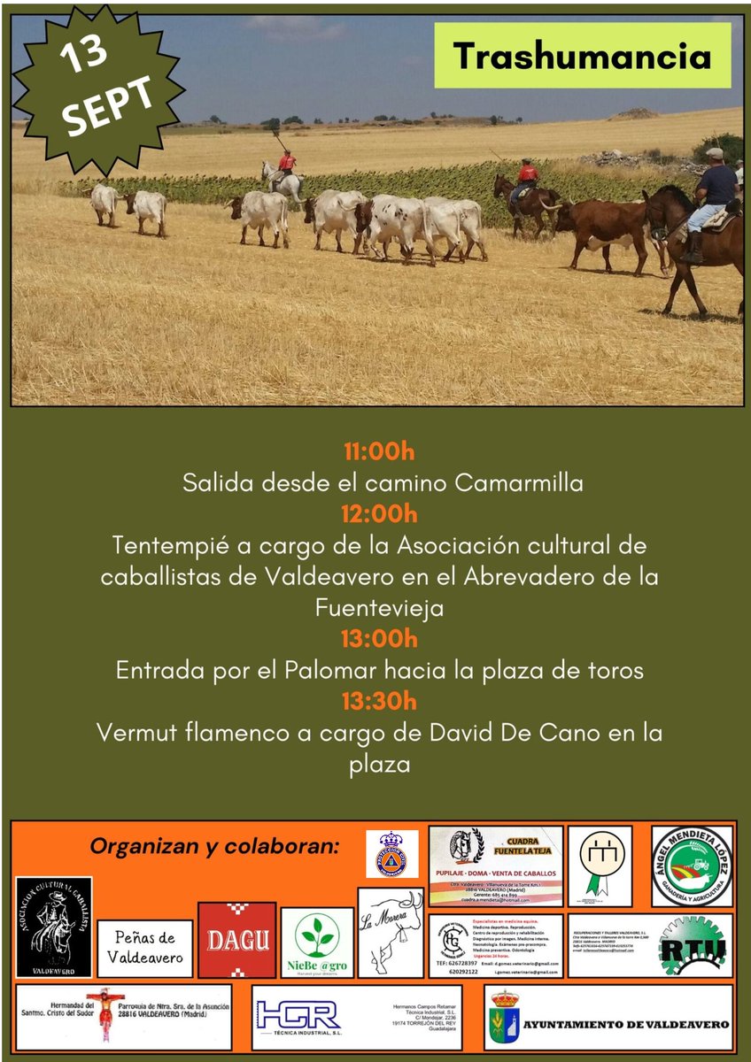 𝗦𝗘𝗥𝗩𝗜𝗖𝗜𝗢 𝗗𝗘 𝗙𝗜𝗘𝗦𝗧𝗔𝗦 𝗣𝗔𝗧𝗥𝗢𝗡𝗔𝗟𝗘𝗦                                             Mañana estaremos cubriendo la Trashumancia por nuestra localidad.🐂🐂🐂🐂🏇🏼🏇🏼🏇🏼🏇🏼                                         #lasprotescuentan #trashumancia #valdevero #voluntarios