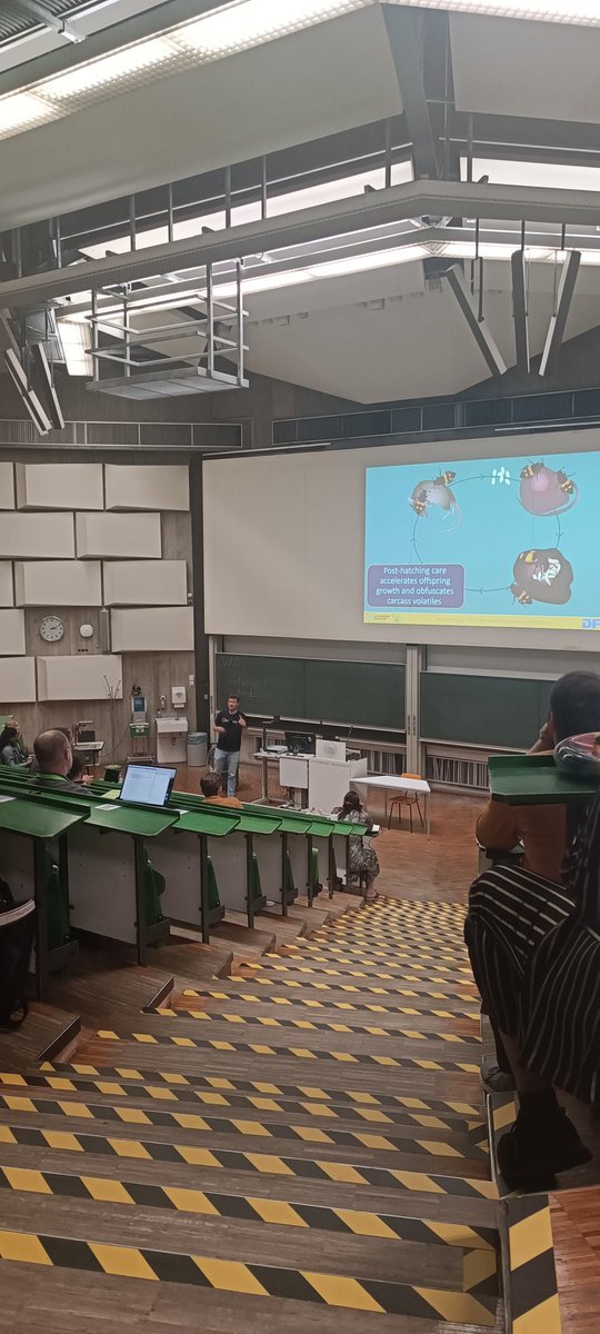 Alexandra Mir Davood Bernal tweet media