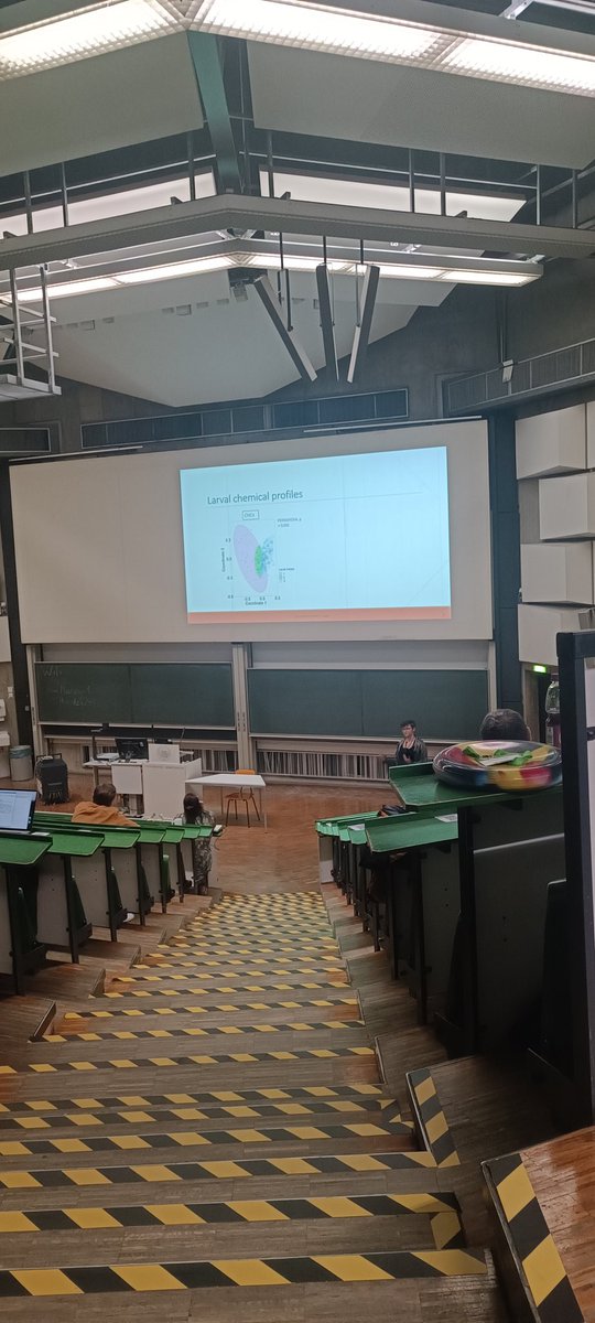 Alexandra Mir Davood Bernal tweet media