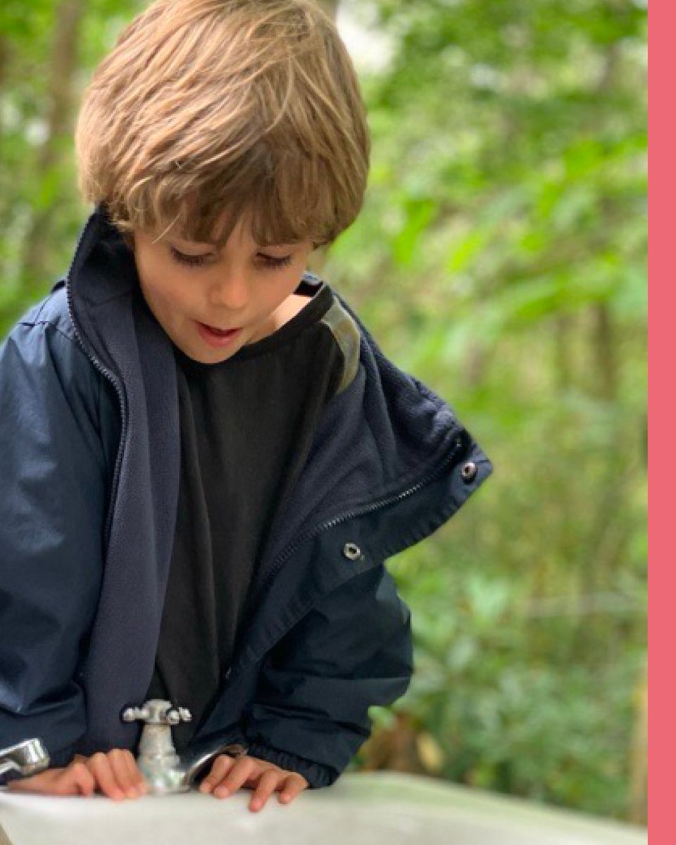 Edgeborough School tweet media