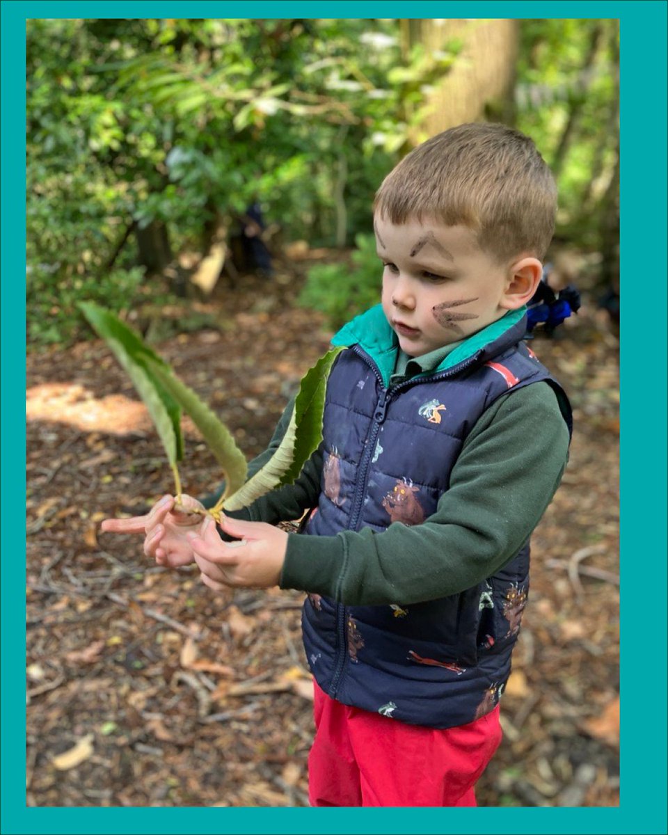 🌳 Outside Woodland Learning (OWL) 🌿 Child-led, enquiry-based learning in nature that sparks curiosity, creativity, and growth. Learning through the eyes of the child. 🌱✨ #OWL #OutdoorLearning #ChildLed #CuriosityDriven #HolisticGrowth #beedgeborough
