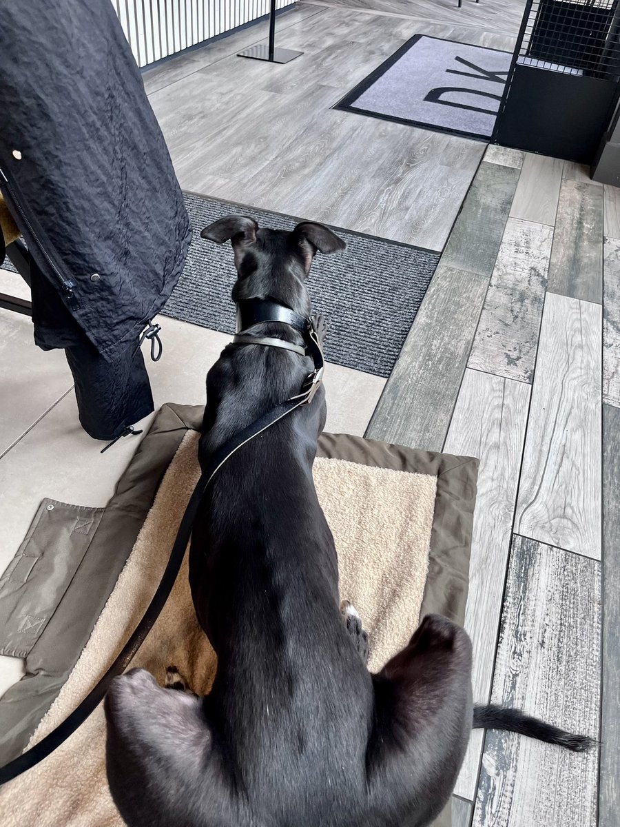 Cllr David Williams tweet media