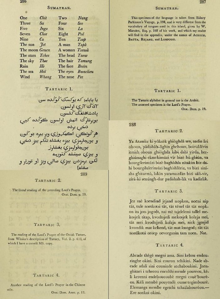 TartariaLives's tweet image. Thoughts?