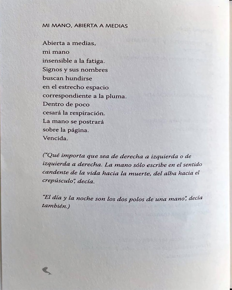 Pendola_RR's tweet photo. #Traductoras
En el número 6/7 de 𝘊𝘶𝘢𝘥𝘦𝘳𝘯𝘰 𝘚𝘢𝘭𝘮ó𝘯 (otoño de 2007-invierno de 2008) se publicaron fragmentos de “La memoria y la mano”, de Edmond Jabès, en versión de Esther Seligson. https://t.co/euJMy7XLft
