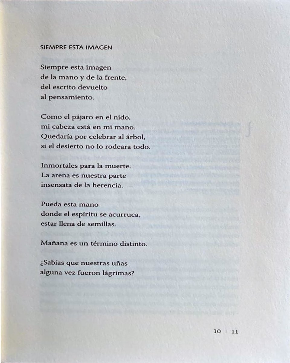 Pendola_RR's tweet photo. #Traductoras
En el número 6/7 de 𝘊𝘶𝘢𝘥𝘦𝘳𝘯𝘰 𝘚𝘢𝘭𝘮ó𝘯 (otoño de 2007-invierno de 2008) se publicaron fragmentos de “La memoria y la mano”, de Edmond Jabès, en versión de Esther Seligson. https://t.co/euJMy7XLft