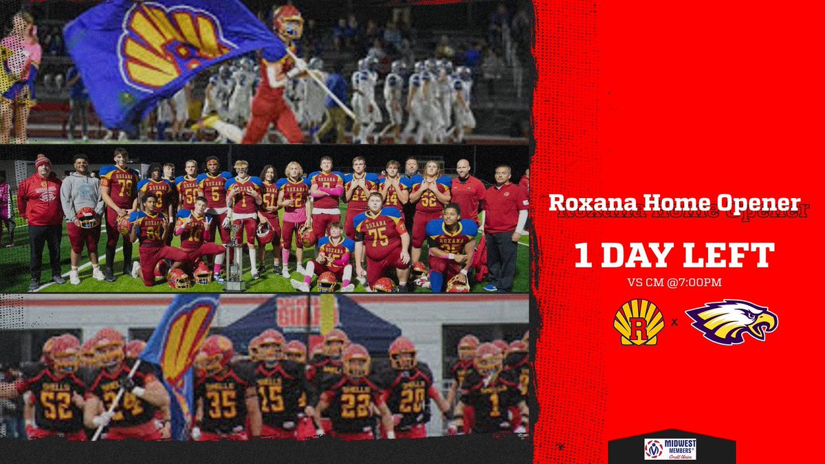 Shell Nation (@roxanaathletics) on Twitter photo 