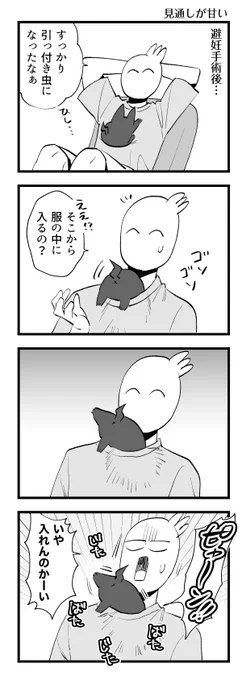 見通し甘めのひっつき虫ちゃん #秀さんちのゆるねこ日記 
(現在はもう胸の上に乗ってもくれない…) 