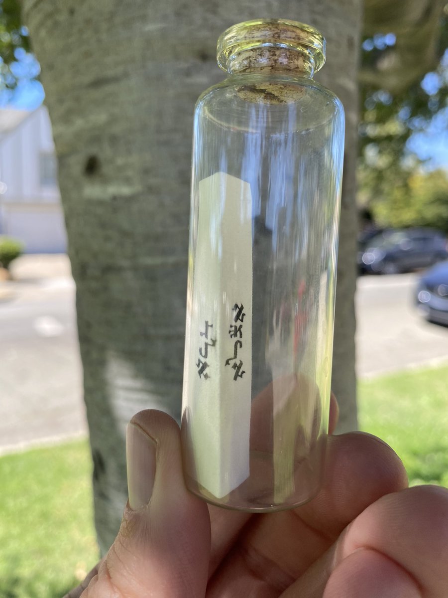 “When he knows in the light of permutation that the name אלד is אגלא (then) it is good to recite it three times and this name (AGLA) derives from אתה גבור לעולם אדני.”